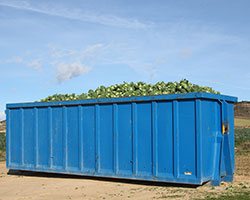 Dumpster Rental in Apache County