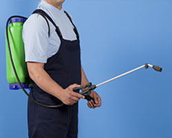 Pest Control in Garfield County
