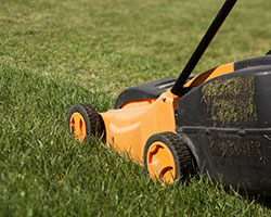 Lawn Care in About Aptera