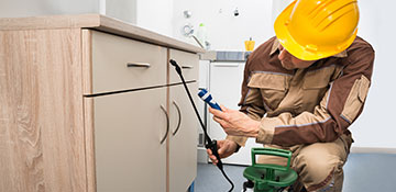 Kenai Peninsula County Insect & Bug Control