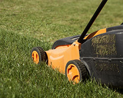 Lawn Care in Mason County
