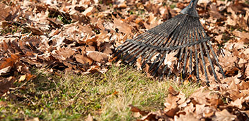 Mason County Leaf Removal