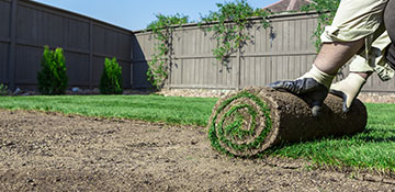 Mason County Sod Installation