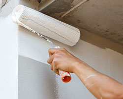 Painters in Carson City County